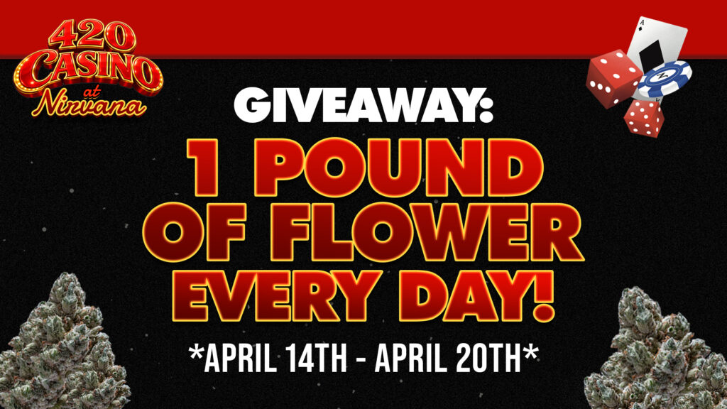 CASINO ROYALE 420 1 LB EVERYDAY