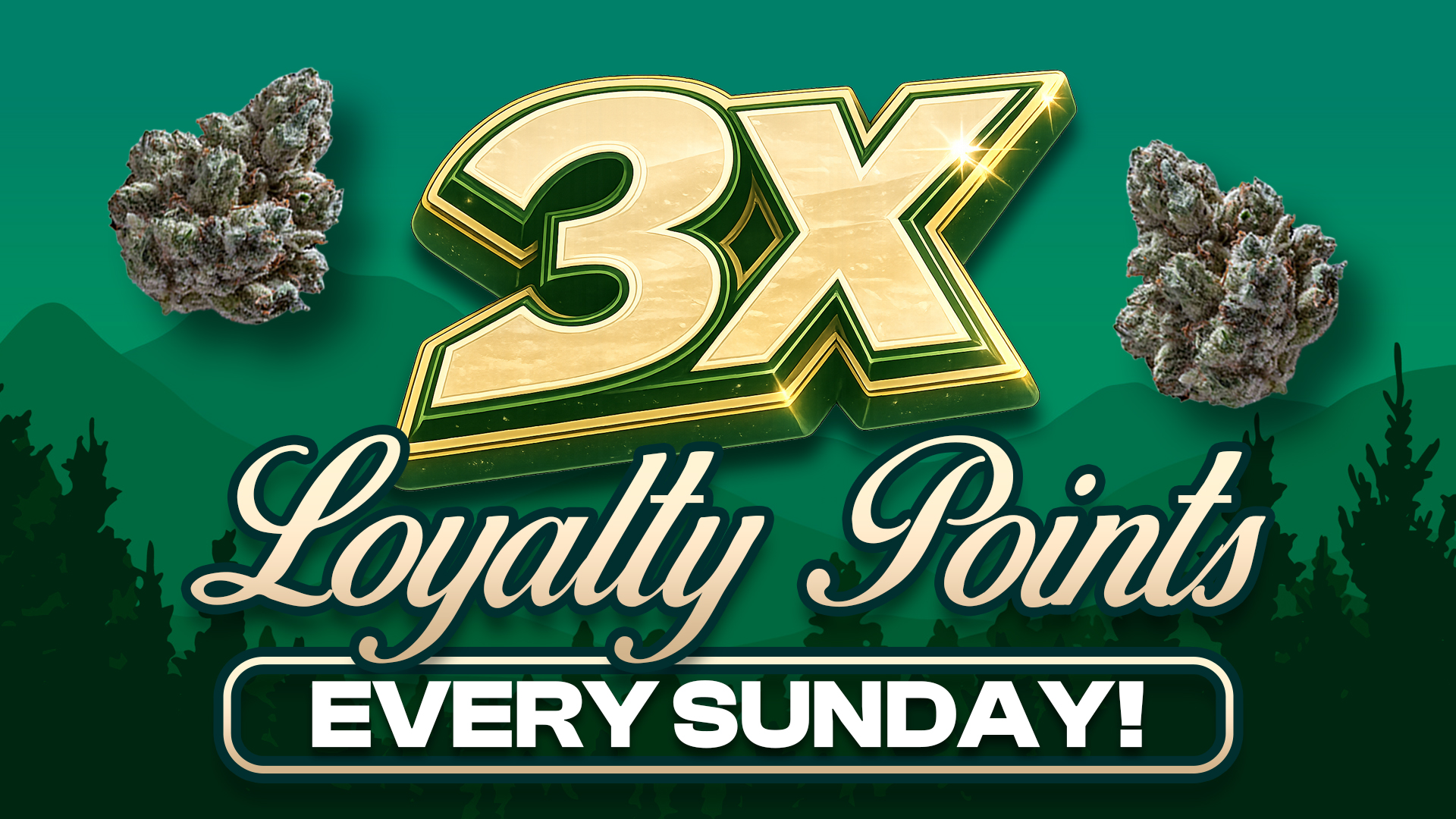 3x loyalty points copy
